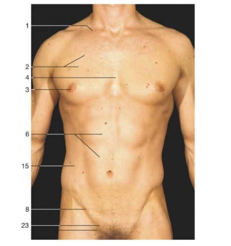 oSDMxMDpTqA3ls17wNJmnQ.png