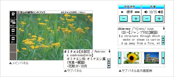 XD-B7700 - 外国語 - 電子辞書 - CASIO
