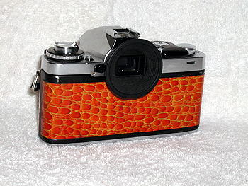 image5.jpg