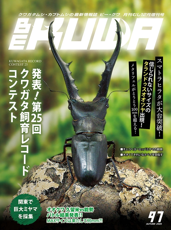 BE-KUWA No.97 – クワガタムシ・カブトムシ昆虫専門店COLORS