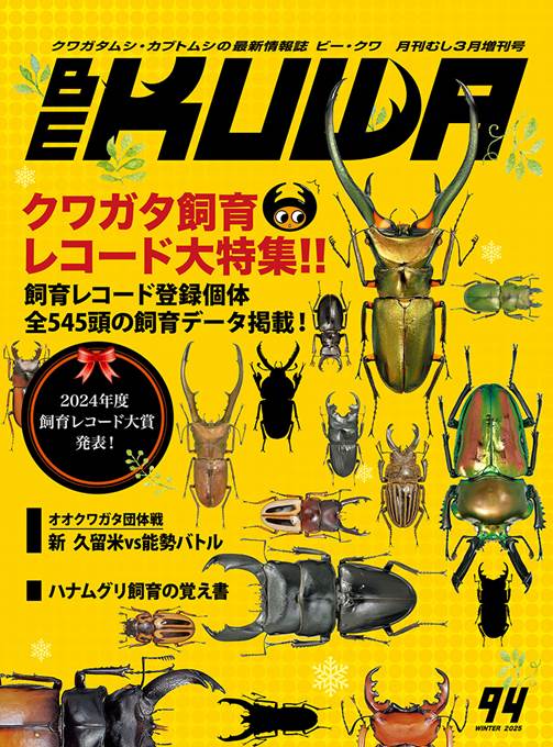 BE-KUWA No.94 – クワガタムシ・カブトムシ昆虫専門店COLORS