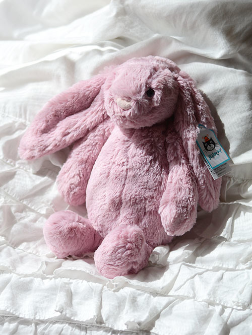 Tulip pink Bunny チューリップ うさぎ バニー Tulip pink Bunny