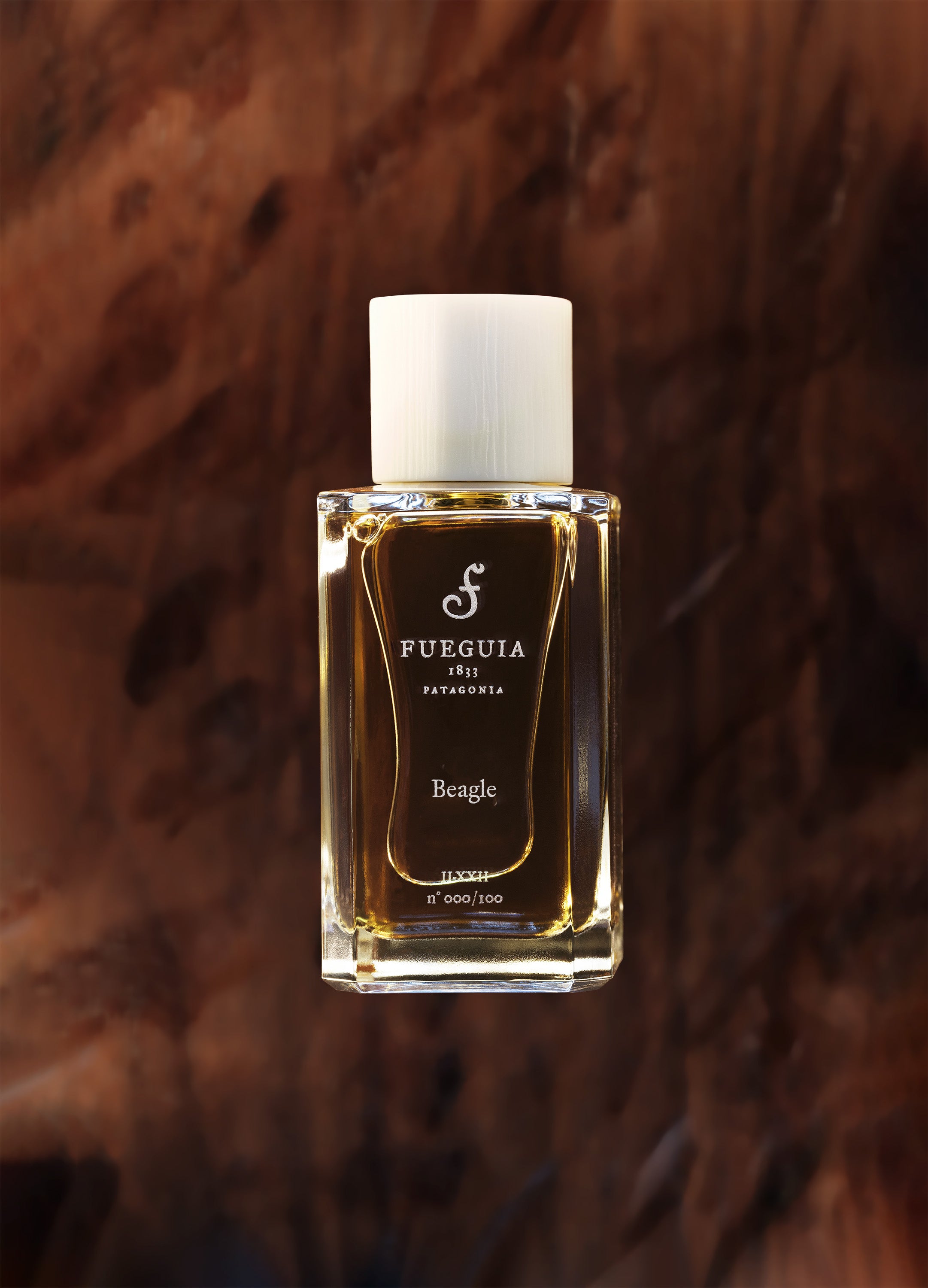 FUEGUIA 1833 | Beagle｜ビーグル – FUEGUIA 1833 Japan Online