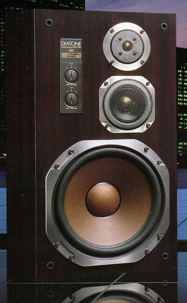ds-73d-h2.jpg