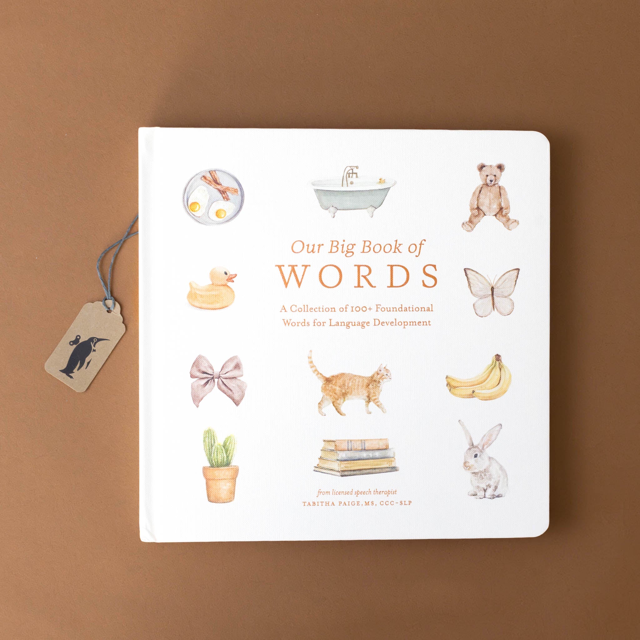 our-big-book-of-first-words.