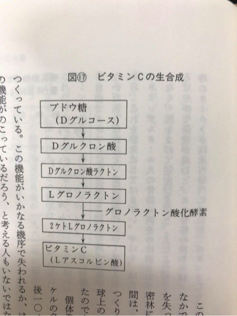 三石理論 基礎から学ぶビタミンC－1 | 精神科医こてつ名誉院長のブログ
