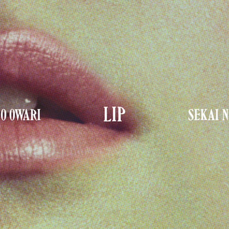 Lip（DVD付き初回限定盤） – TOY'S STORE