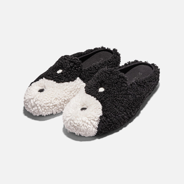 Ventura-Mule-