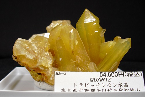 aaa0740b.jpg