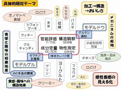 研究内容