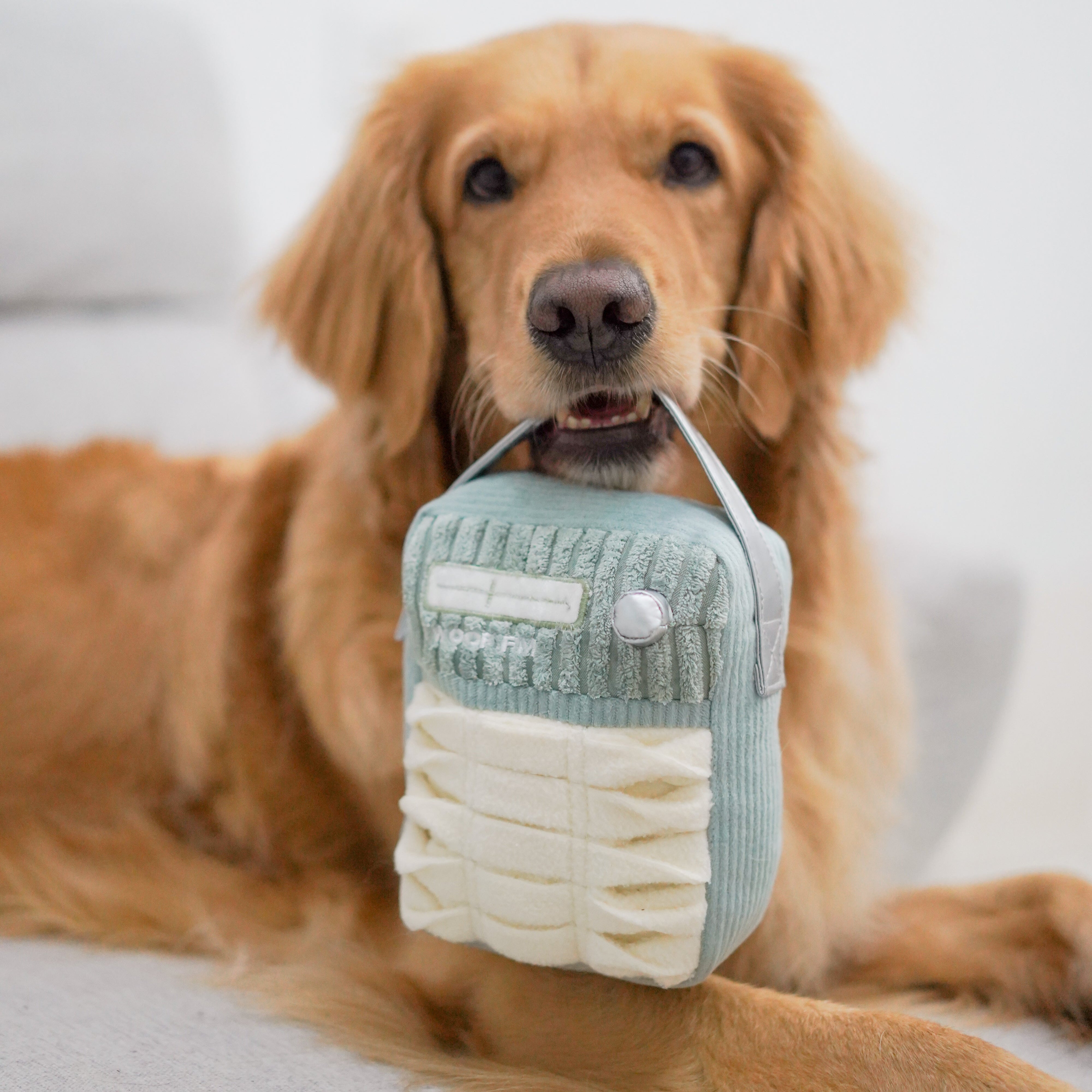 WOOF FM- Enrichment and Interactive Dog Toy | Puzzle Dog Toy