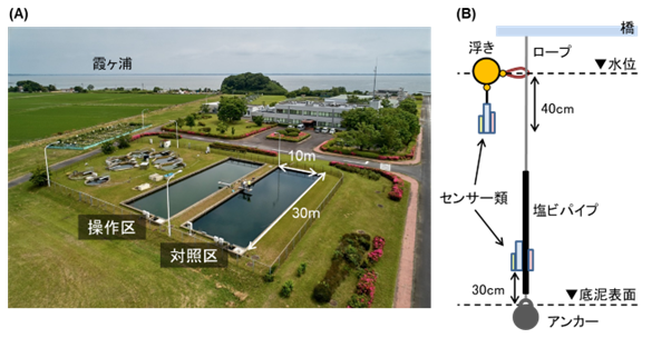 水位操作による富栄養化症状の緩和 ～湖沼における水質管理手法の
