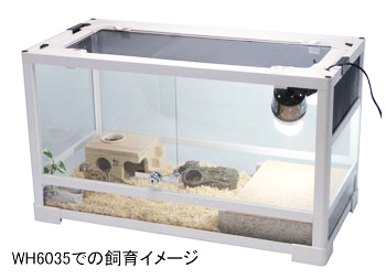 パンテオン ブラック BK6045 ｜ 株式会社三晃商会