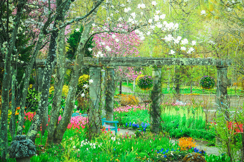 今年で開園150年。〈高遠城址公園〉のお花見情報2025 | Go! NAGANO