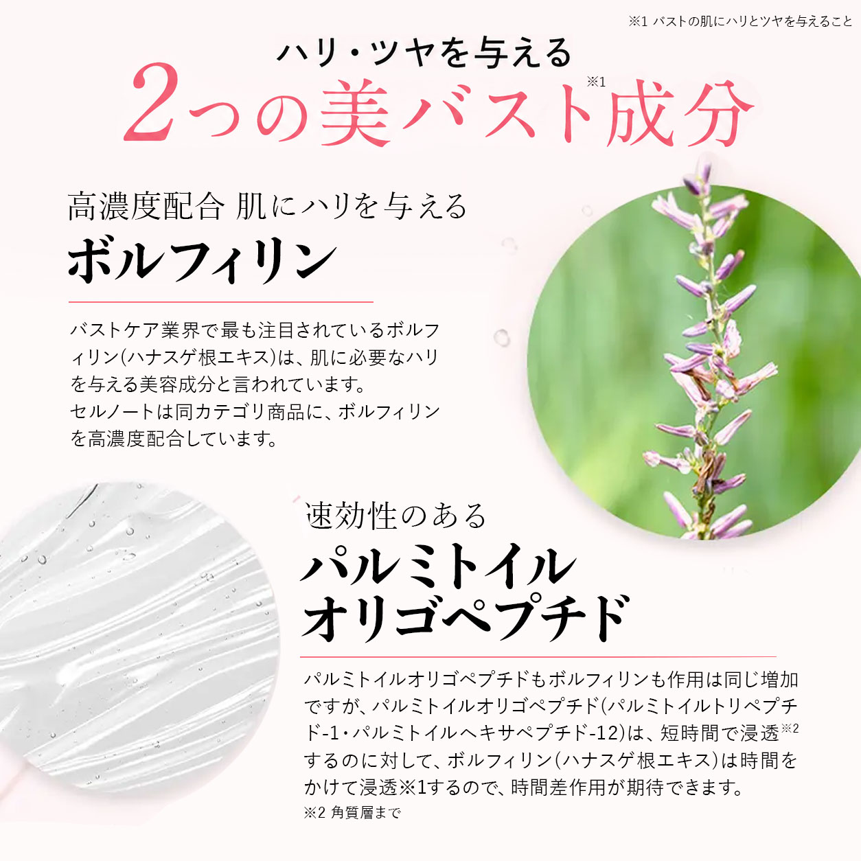 楽天市場】cellnote. BV LINE GEL+ 30g バストケアジェル お試しサイズ