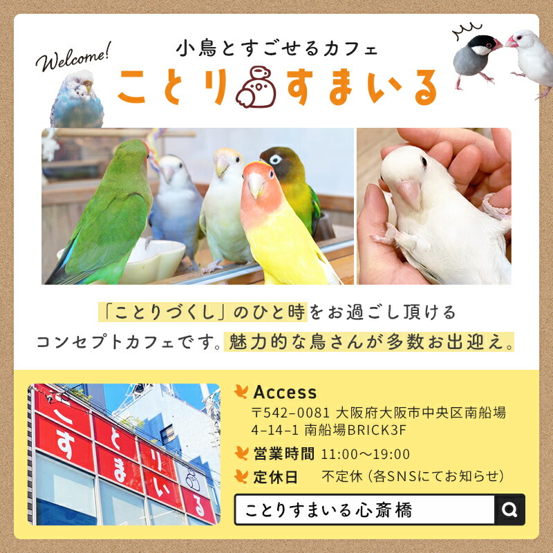 楽天市場】ことり鈴 ストラップ オカメイエロー ◇ゆうパケット対応