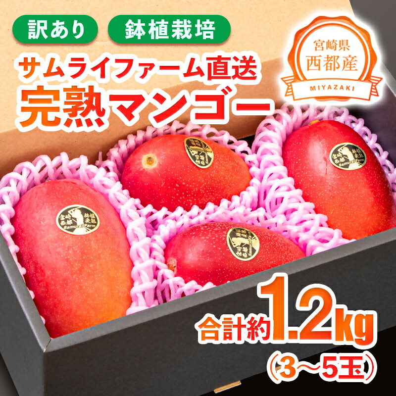 楽天市場】【ふるさと納税】『訳あり』宮崎完熟マンゴー3〜5玉（約1.2