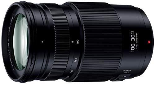 panasonic 100-300」の人気商品一覧 | 安い商品を通販サイトから探す