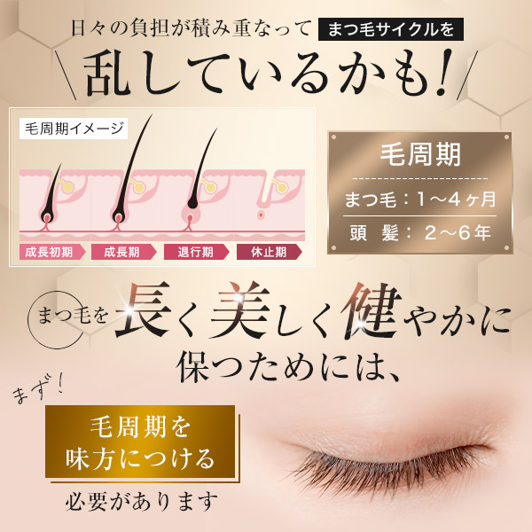 楽天市場】【P10倍☆3/1 23:59まで】【 楽天 ランキング 1位 】 公式