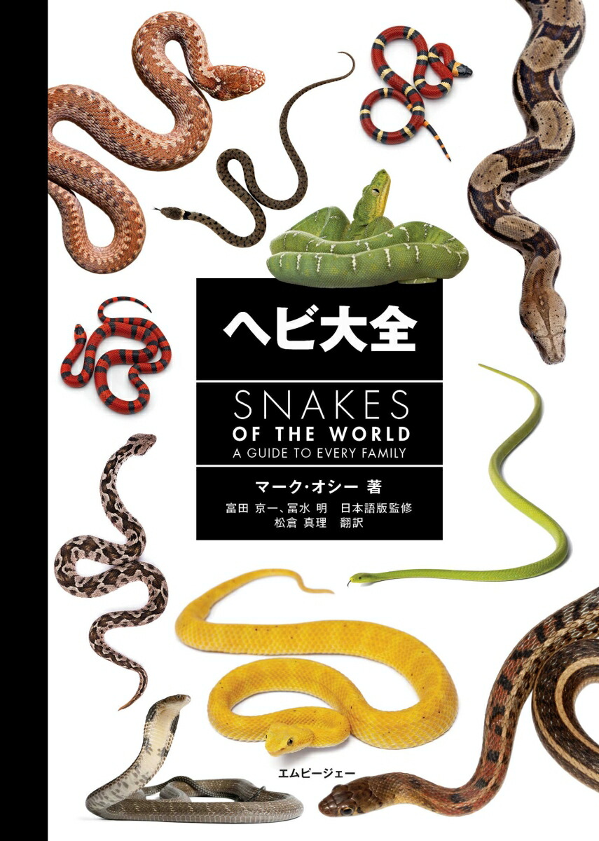 楽天ブックス: ホネからわかる！動物ふしぎ大図鑑（3） - 富田京一