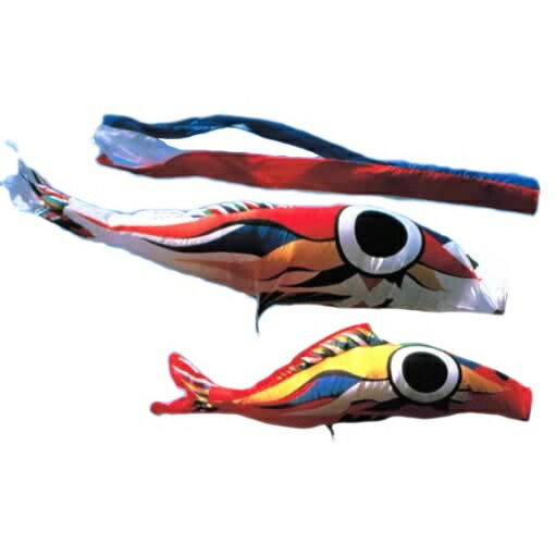 koi-okamoto.jpg
