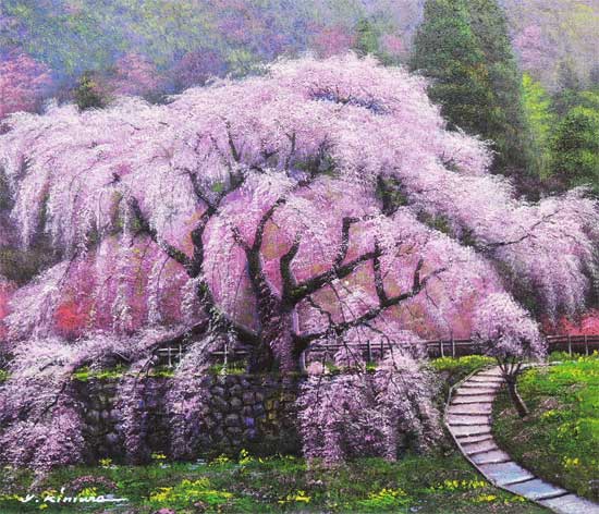 楽天市場】絵画 油絵 又兵衛桜 F30号 （木村由記夫） 送料無料 【肉筆