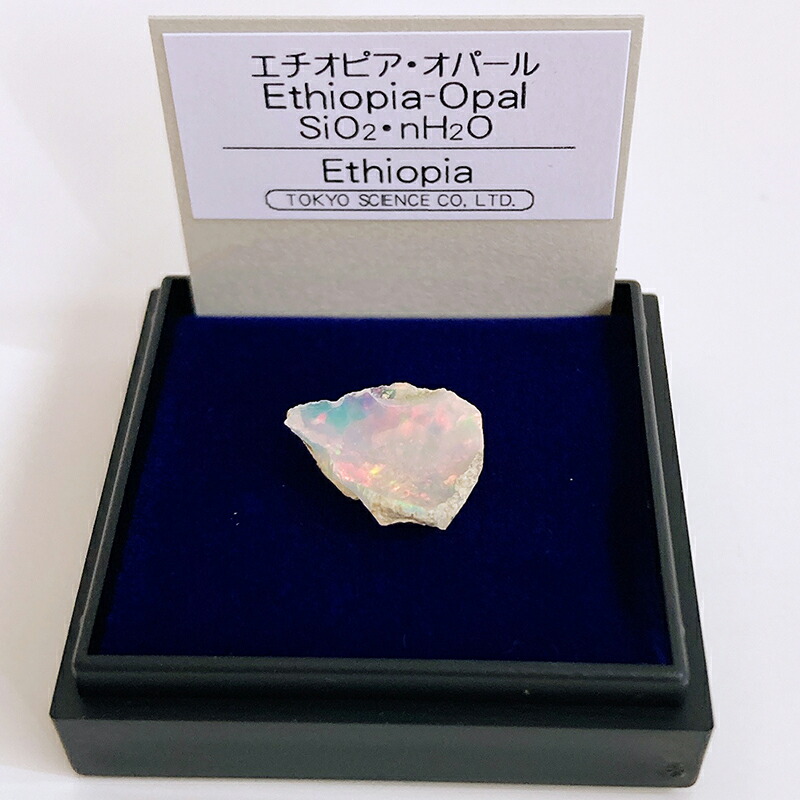 楽天市場】エチオピアオパール（エチオピア） 鉱物 標本 東京