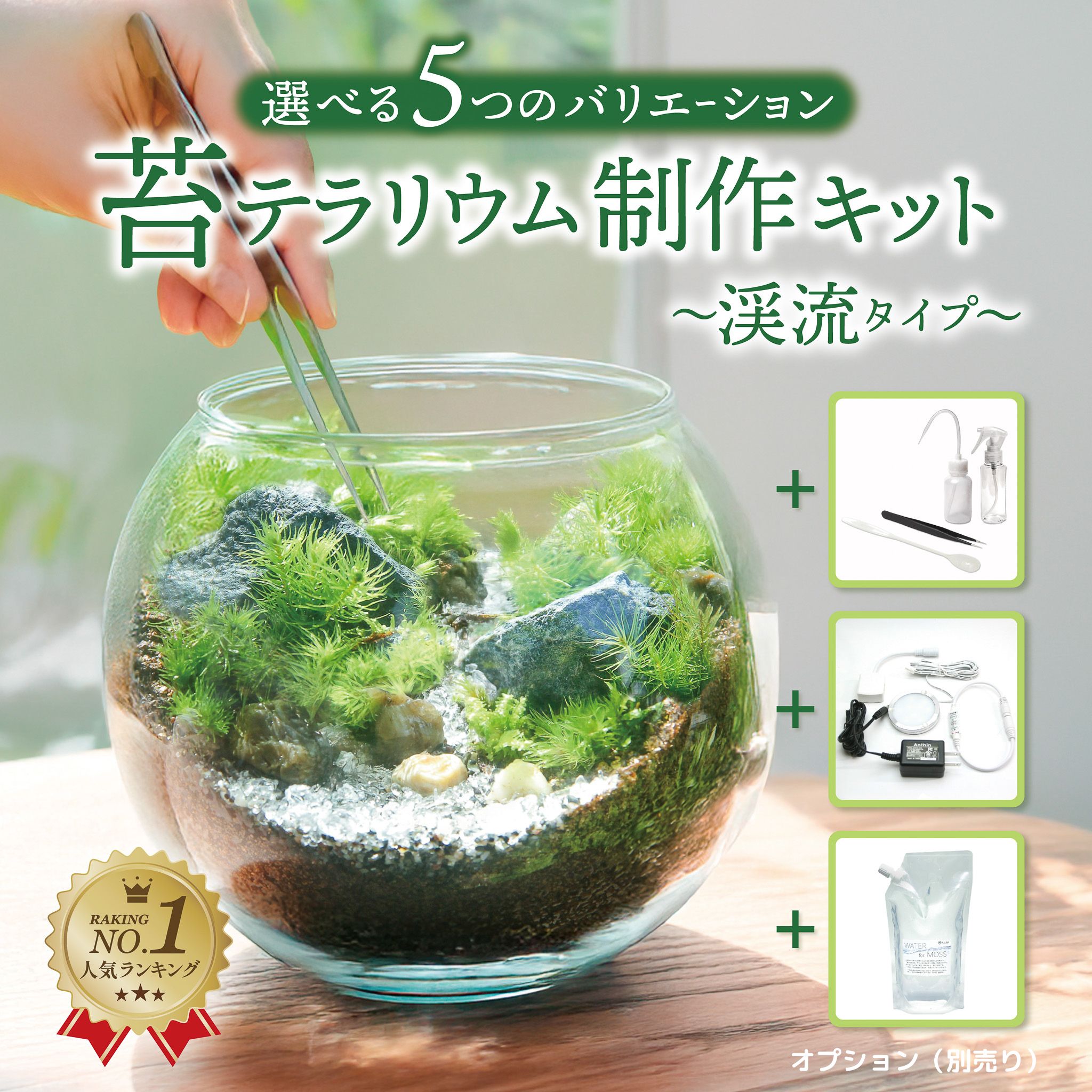楽天市場 | 苔むすび 楽天市場店 - 生きた緑のインテリア、苔