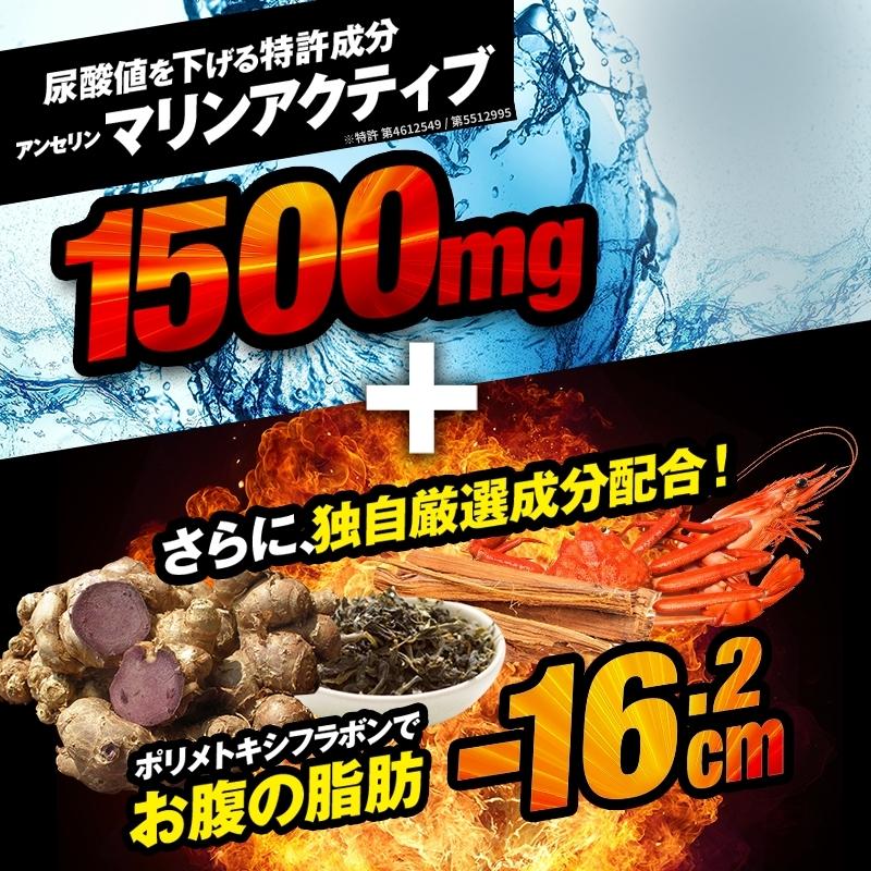 楽天市場】＼公式正規品はこちらのみ／【 Wバスター 1袋 】 機能性表示