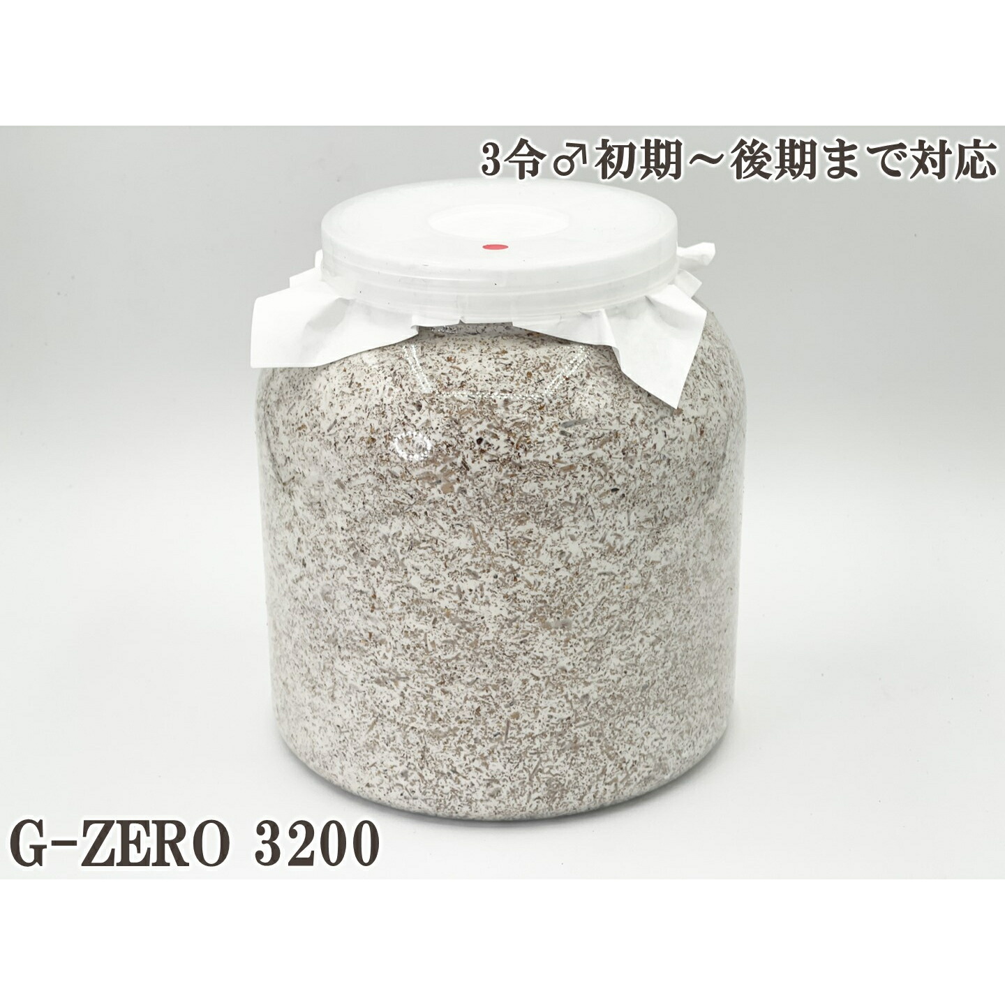 楽天市場】ギネス2冠 スマトラオオヒラタ109.3mm【DDA】G-ZERO 菌糸