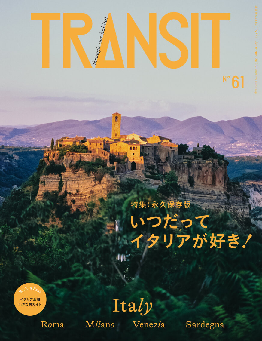 transit61_2.jpg