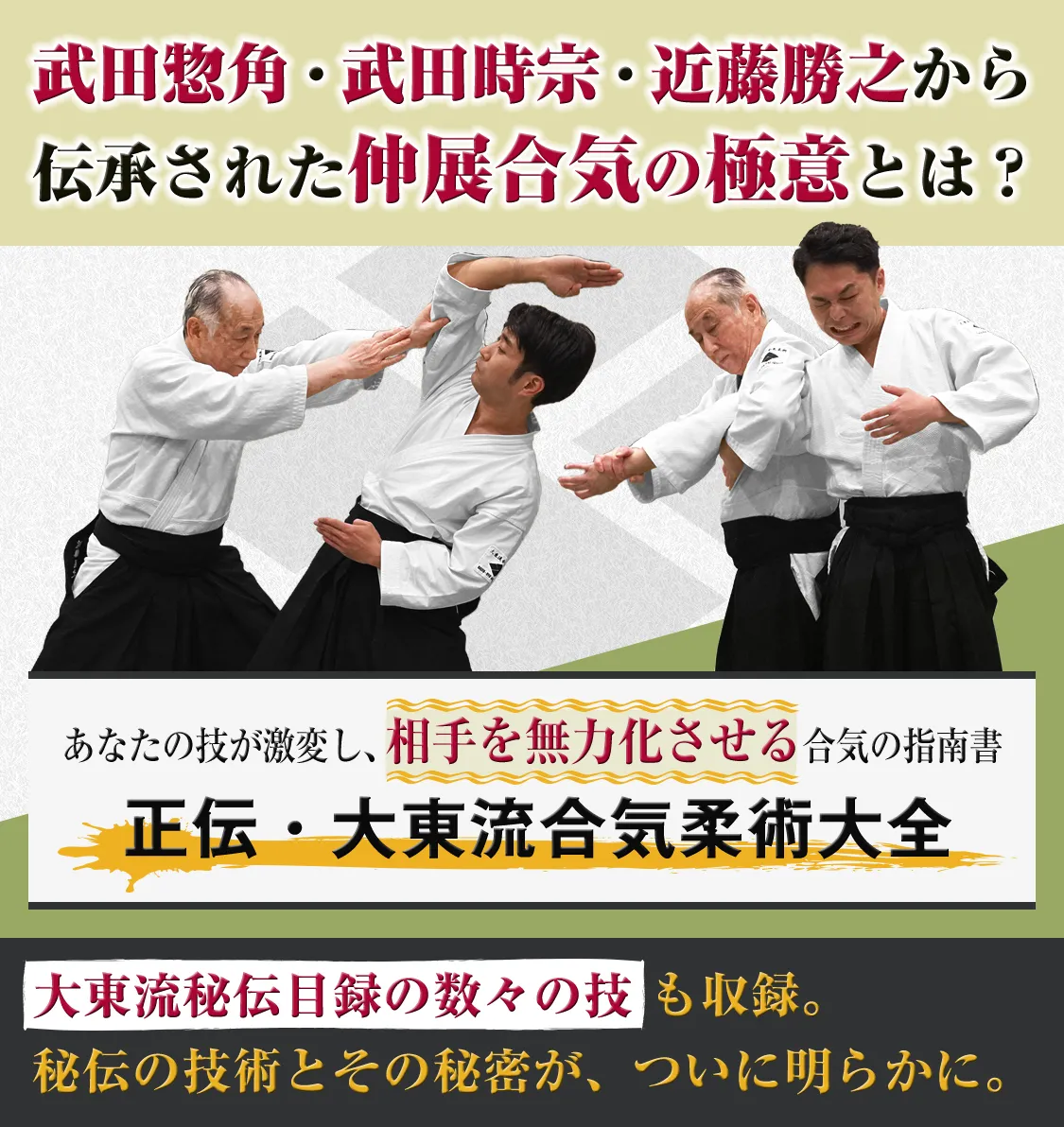 あなたの技が激変し、相手を無力化させる合気の指南書。正伝・大東流合