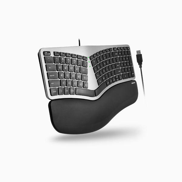 BLERGO2SG-Main_grande.jpg?v=