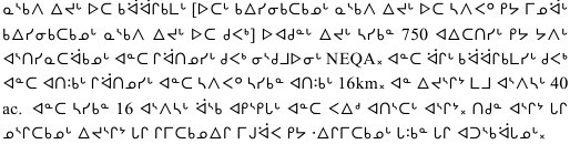 世界の文字