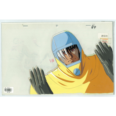 cel-774.jpg