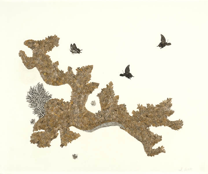 第8回 山本鼎版画大賞展 | 上田市立美術館 | 美術館・展覧会情報サイト