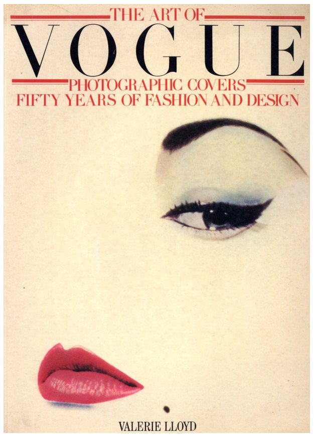 希少 THE ART OF VOGUE VALERIE LLOYD 希少 THE ART OF VOGUE VALERIE