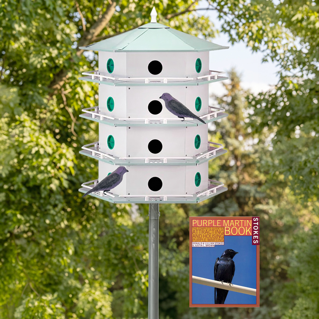 Heath 12-Room Deluxe Purple Martin House Package at BestNest.com