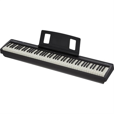 Roland FP-10-BK+KSC FP10-BK +DP-10【専用スタンド、純正ダンパー