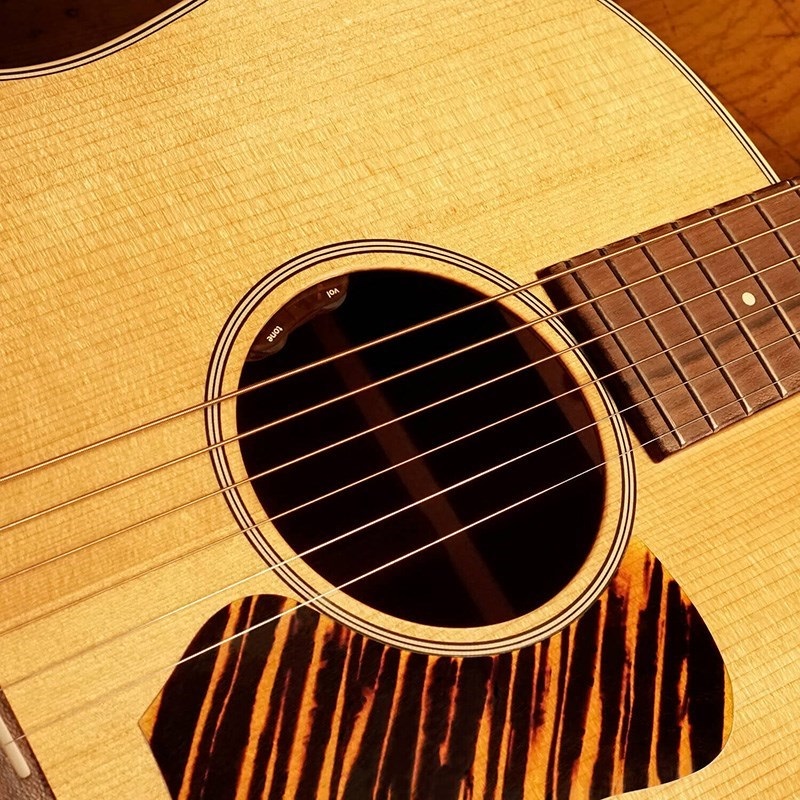 L.R.Baggs Element VTC [Acoustic Guitar Undersaddle Pickup