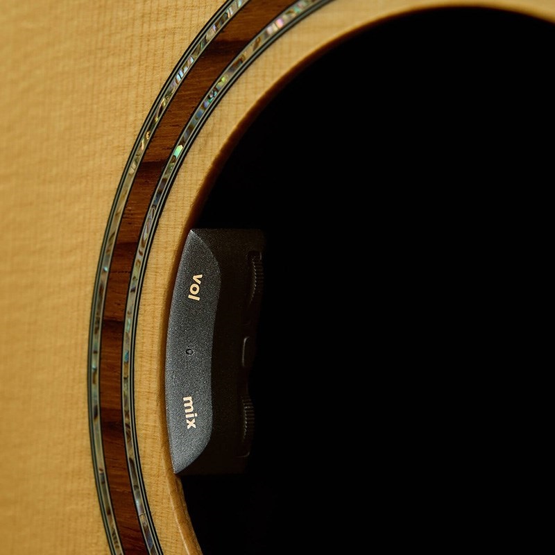 L.R.Baggs HiFi Duet ｜イケベ楽器店オンラインストア