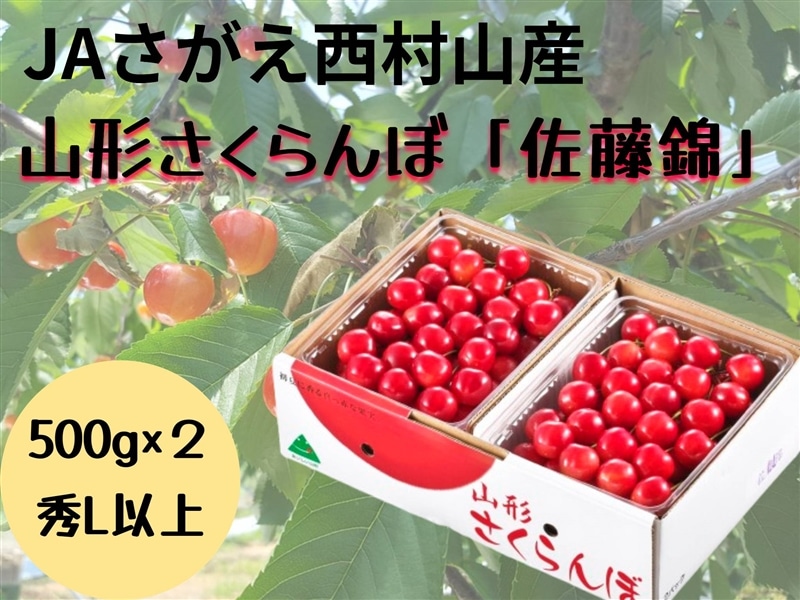 のしなし】さくらんぼ佐藤錦500g×2ﾊﾟｯｸ バラ詰: 小さな