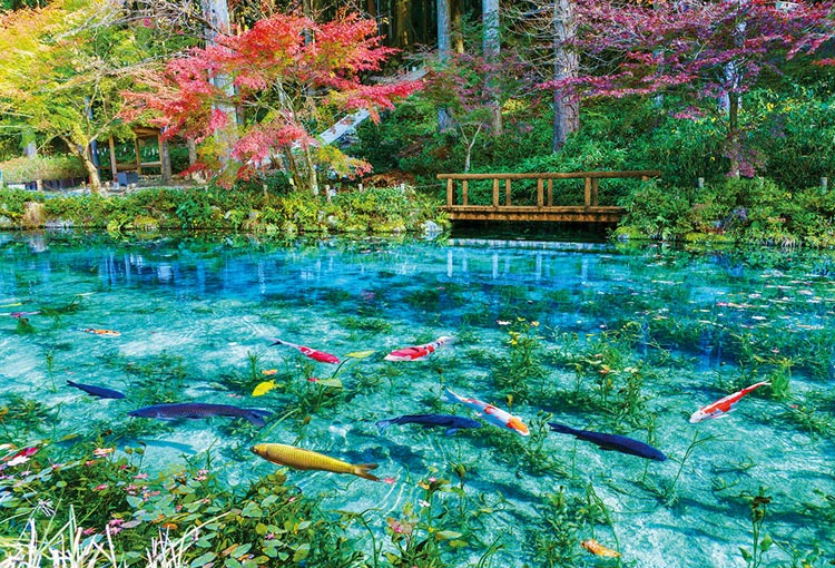BEV-51-293 風景 色彩輝くモネの池 1000ピース ［CP-JS］ ビバリー の