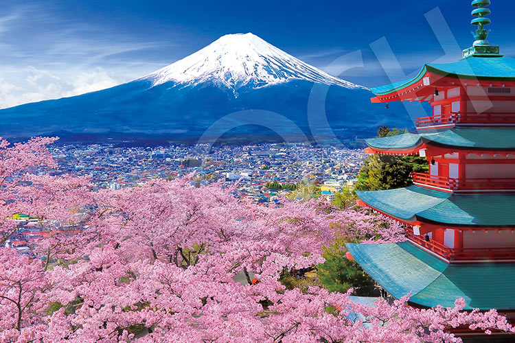 EPO-11-615s 風景 春風富士と五重塔ー山梨 1000ピース ［CP-WH］ ［CP