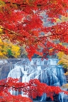 YAM-10-1470 風景 紅葉かかる袋田の滝（茨城） 1000ピース やのまん の