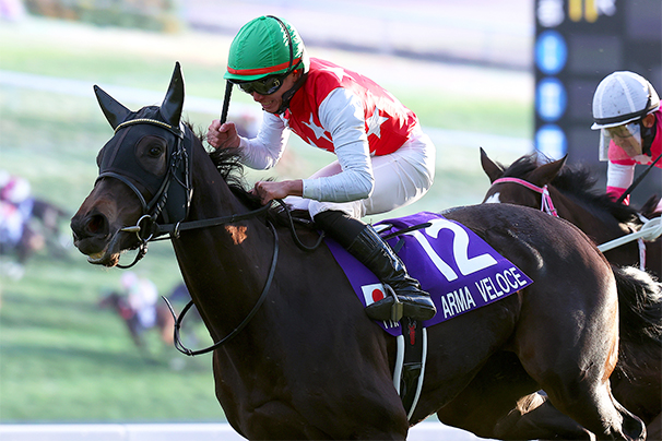 2024年 阪神ジュベナイルフィリーズ JRA