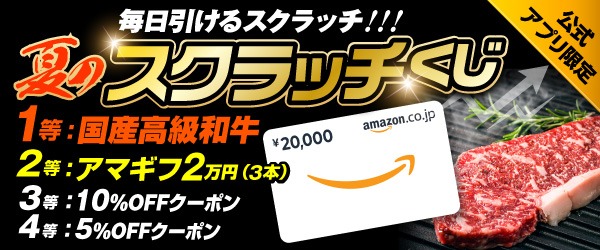 Gexa(ジイエクサ) 小型カメラ バッテリー充電アダプタ 防犯カメラ