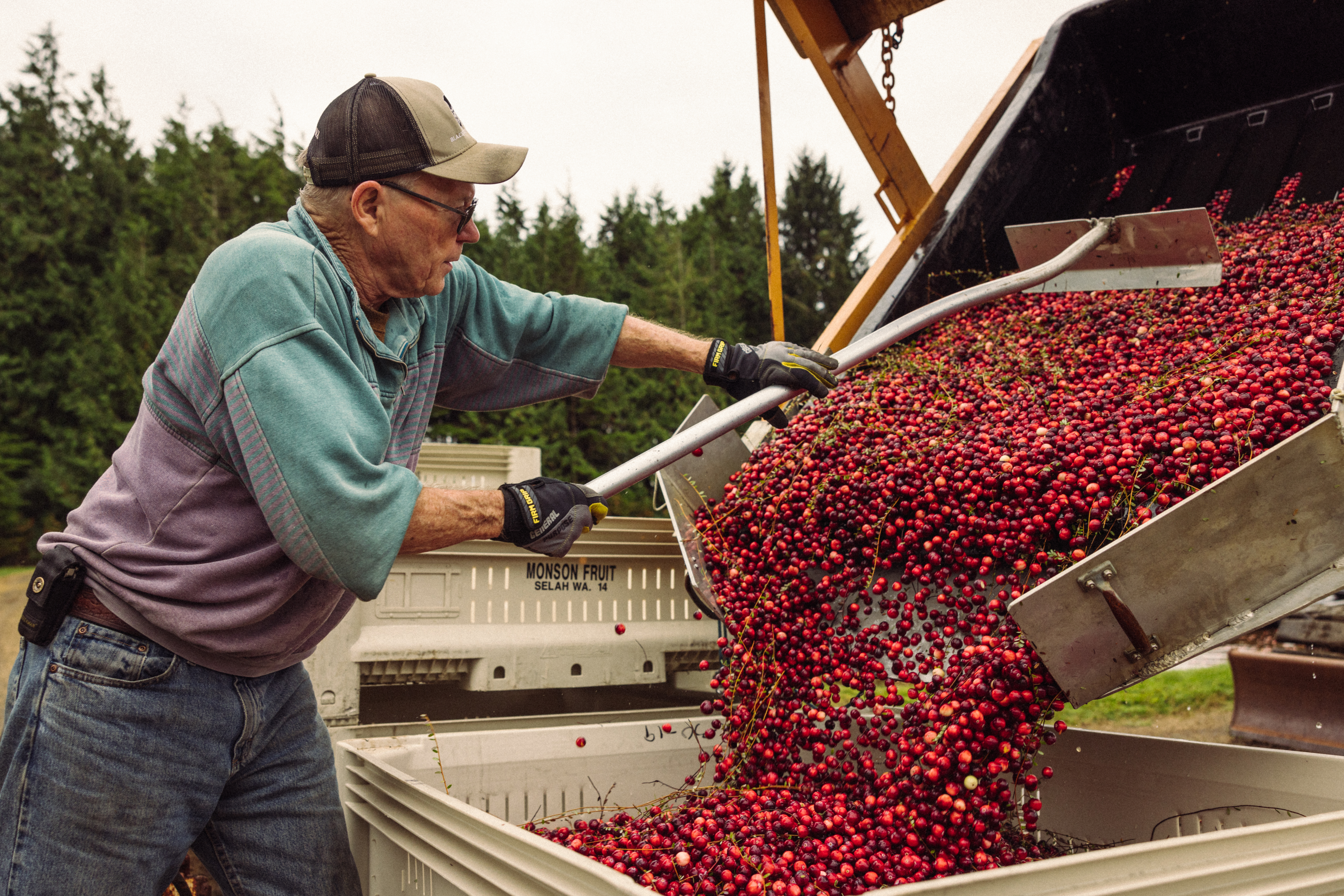 The Mighty Cranberry