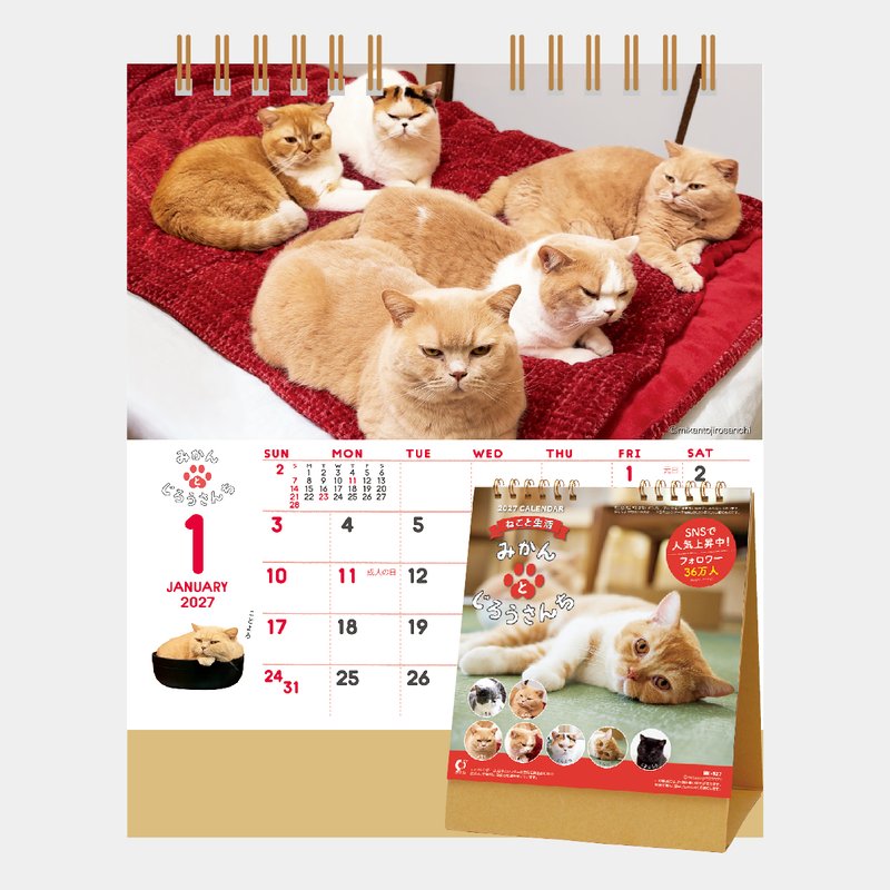 NK-527 ねこと生活 みかんとじろうさんち2026年版の名入れカレンダーを