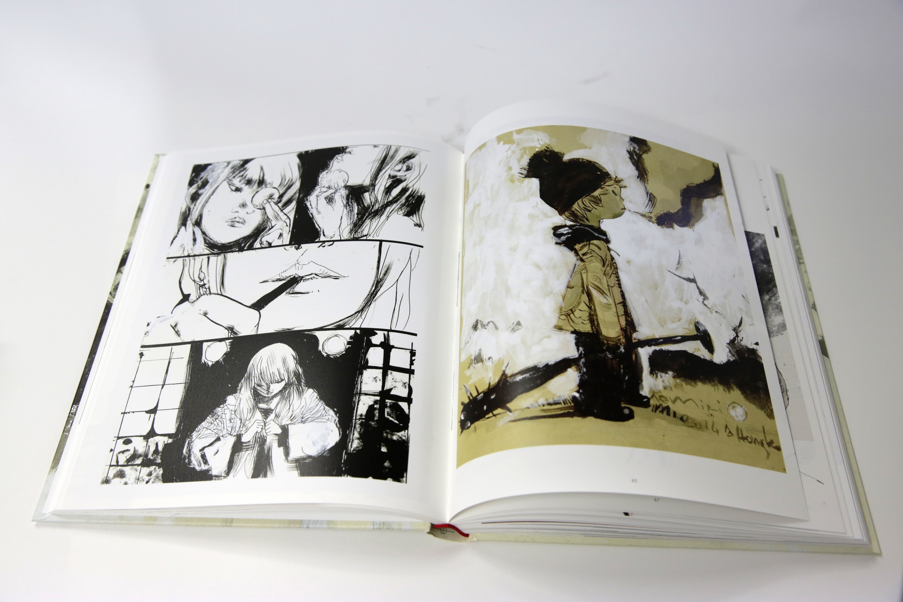 Nicolas Nemiri - The Nemiri Book
